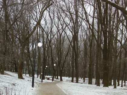 В Таганроге восстановили нарушенное из-за непогоды уличное освещение