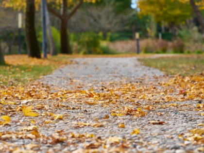 В выходные в Ростове прогнозируются температурные качели
