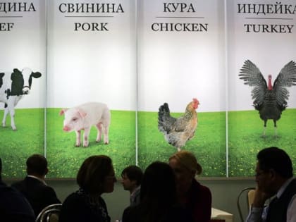 Почему снижаются цены на курицу и свинину