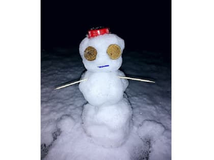 Первый снег: жители Каменска показали своих снеговиков