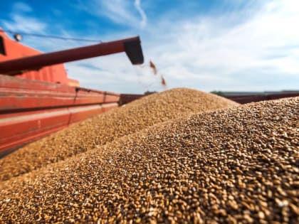 О внесении данных  в систему прослеживаемости ФГИС «Зерно»