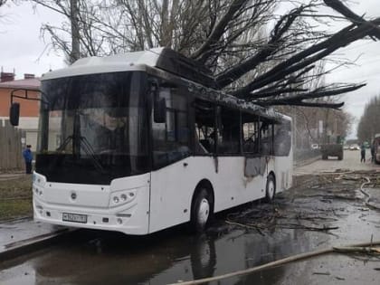 В Сети появились жуткие кадры полыхающего в Таганроге рейсового автобуса №31