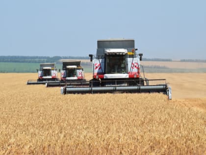 В ходе жатвы-2023 на Дону собрали первый миллион тонн зерна