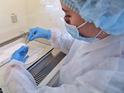 Резко упала заболеваемость ОРВИ в Ростовской области