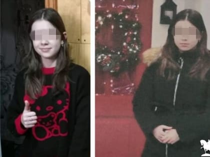 Пропавшая в Новочеркасске девочка была найдена полицейскими в Белокалитвенском районе