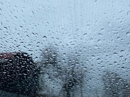 В Ростове на выходных ожидаются потепление и дожди