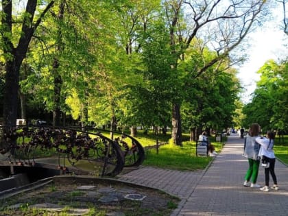 Более 14,5 тысяч таганрожцев проголосовали за объекты благоустройства