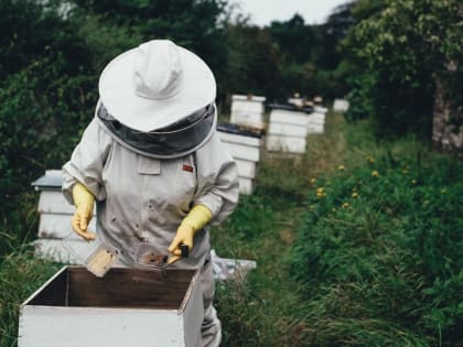 Народные приметы на 5 ноября 2022 года: что нельзя делать в день Якова