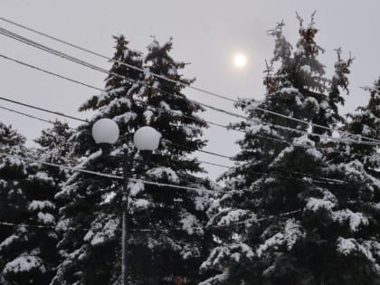 В Ростовской области на выходных ожидаются дождь и снег