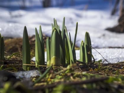 В Ростове в выходные ожидается резкое потепление