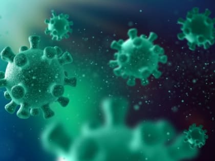 В Ростове в реке Темерник обнаружили холероподобные бактерии