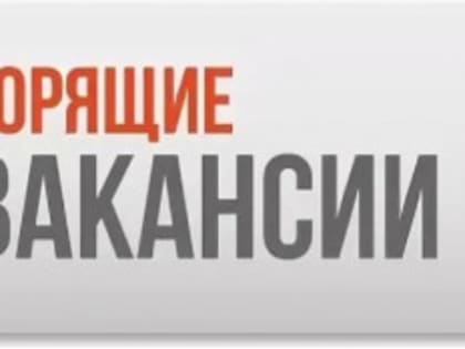Самые актуальные вакансии Донецка