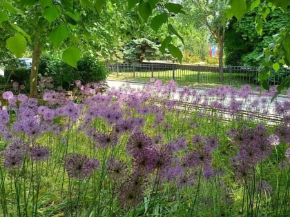 Погода в Таганроге 3 июня: тепло и солнечно