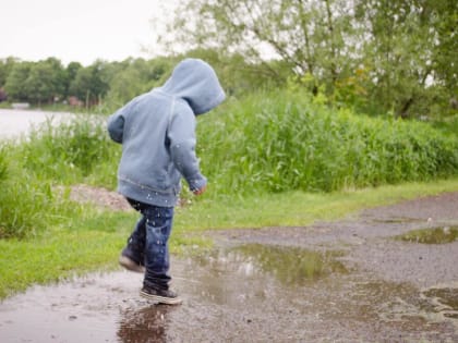 В Ростовской области ожидаются дожди и грозы 24 июня