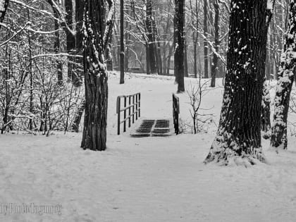 Погода в Таганрога 19 февраля: снег сменяется дождем