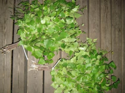 Чем полезная баня и какой она бывает