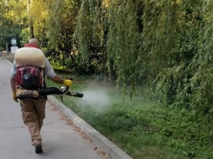 В Таганроге городские территории обрабатывают от клещей