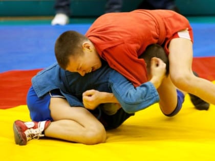 Целую россыпь медалей завоевали миллеровские самбисты на турнире в Новочеркасске