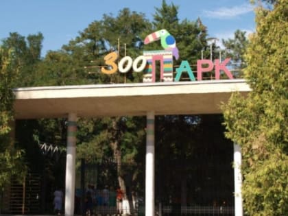 Ростовский зоопарк временно возглавила замглавы управления культуры