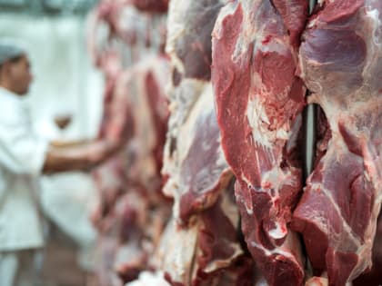 На Дону остатки лекарств обнаружили в говяжьих субпродуктах