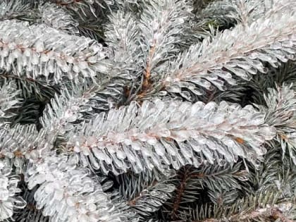 В первые январские выходные в Новочеркасске похолодает