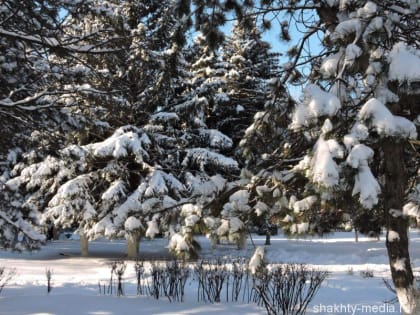 Рождественские выходные в Шахтах будут морозными и солнечными