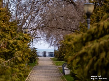 Центральную часть Пушкинской набережной благоустроят в следующем году