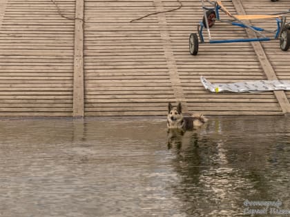 Погода в Таганроге 20 августа: самый жаркий день недели