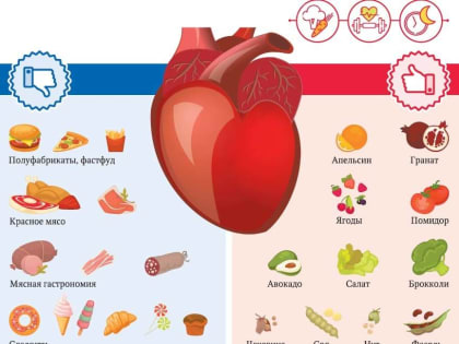 Кардиолог Наталья Гаврилюк сообщила о полезных для сердца и сосудов продуктах