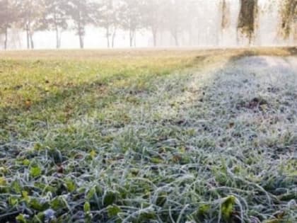 Погода на выходные в Ростовской области: заморозки и дождь