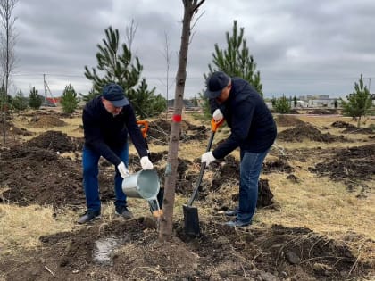 Осенний День древонасаждений в Ростовской области