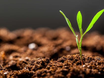 Значение показателя предельно-допустимой концентрации (ПДК) в вопросах охраны почв и обеспечения экологической безопасности