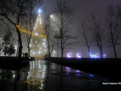 Погода в последние дни 2022 года в Новочеркасске будет не по-зимнему тёплой