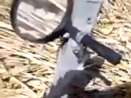 На донских пшеничных полях нашли линзы для поджога урожая