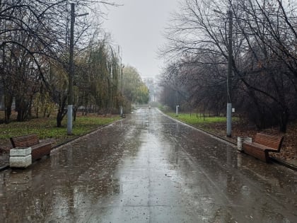 Погода в Таганроге 22 декабря: дождь, +8°, небольшой ветер