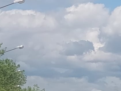 В Миллерово к покосу травы приступают ранним утром