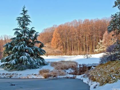 Погода в Батайске 21 декабря