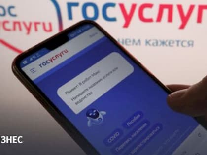 Сервис на Госуслугах поможет бизнесменам сообщать о нарушениях моратория на проверки