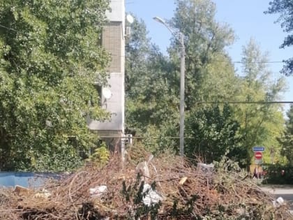 Дежурный по Волгодонску. В центре старого города самая настоящая свалка