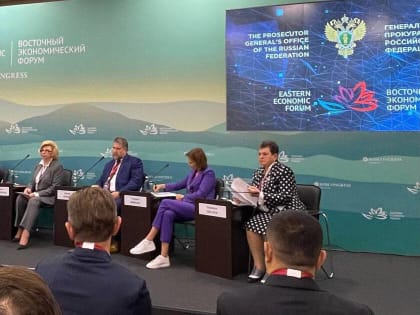 Татьяна Минеева: Предприниматели просят защиты от уголовного давления