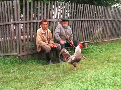 11 аналогов российской виагры для мужчин