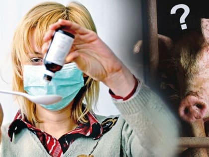 Как отличить свиной грипп от других вирусов