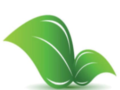 Управлением Россельхознадзора с помощью системы «Аргус-Фито» выявлено нарушение требований в области карантина растений