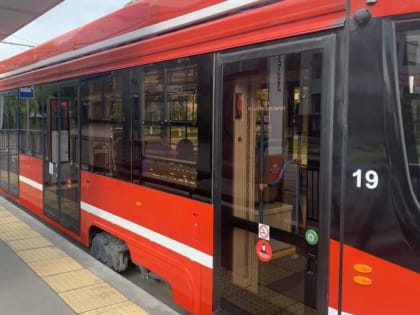 В Таганроге продолжается розыск хулиганов, разрисовавших трамвай