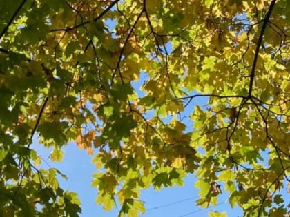 Небольшое потепление и солнце ожидают шахтинцев