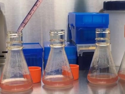 Ростовские ученые создали вакцину против ротавируса￼￼