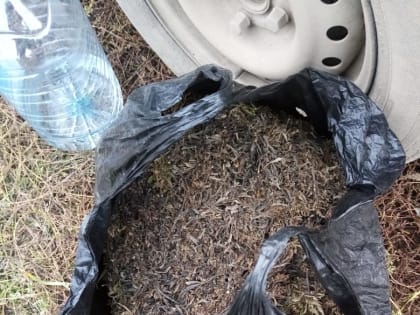 В Ростовской области у местного жителя изъяли более килограмма марихуаны. 46-летний безработный мужчина пояснил, что хранил наркотики для личного употребления