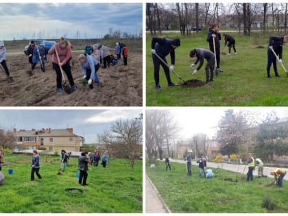 Состоялся областной День древонасаждений и День благоустройства