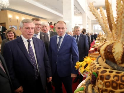 Василий Голубев: «Донские хлеборобы побили свой же рекорд – впервые собрано свыше 15 млн тонн зерновых»