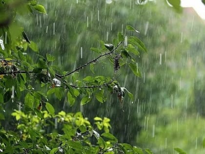 Синоптик рассказала, какой погоды ожидать жителям Ростовской области в сентябре: по словам специалиста, в начале осени на Дону будет много осадков в виде дождей